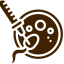 Egg Retrieval
