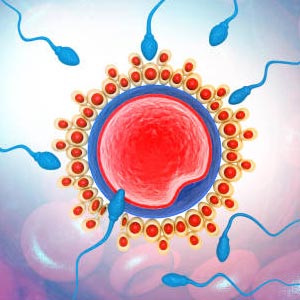 Infertility treatment in Kanhangad